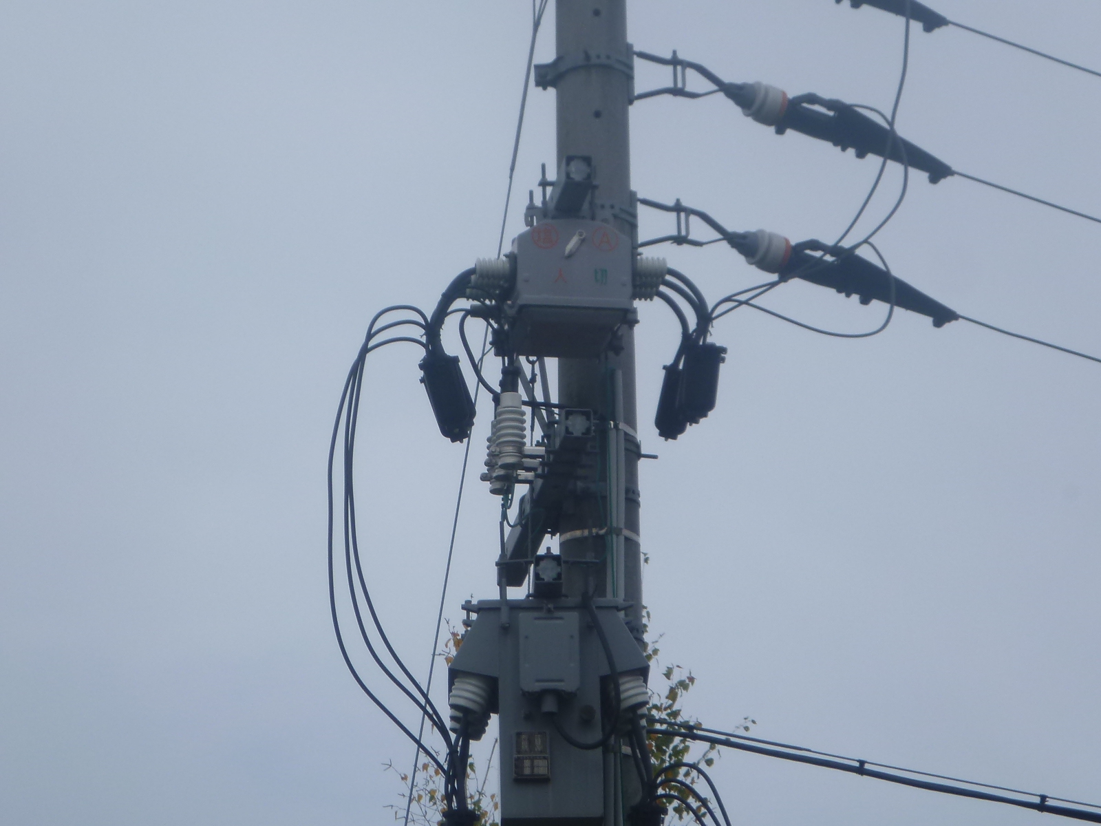 白山運動公園多目的広場高圧区分開閉器･避雷器取替工事