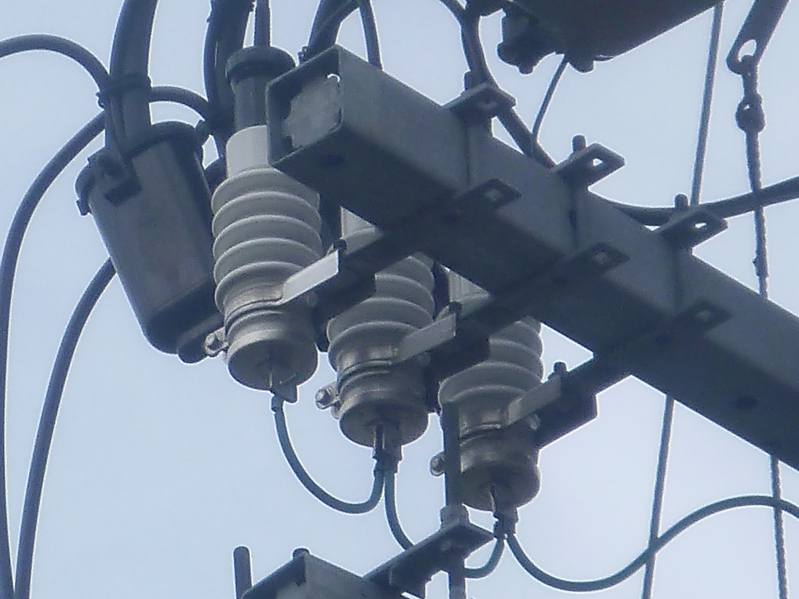 白山運動公園多目的広場高圧区分開閉器･避雷器取替工事